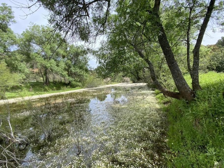 Finca La Alcolehuela En Parque Natural De Despenaperros Santa Elena Exteriör bild