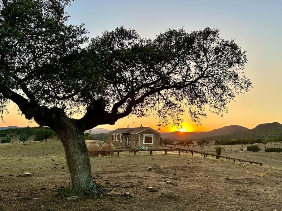 Finca La Alcolehuela En Parque Natural De Despenaperros Santa Elena Exteriör bild