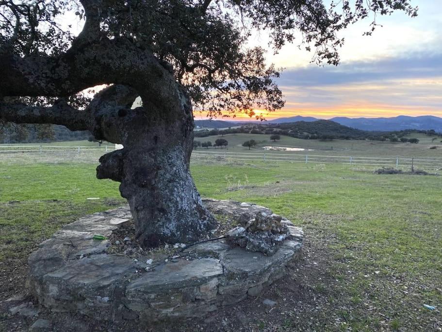 Finca La Alcolehuela En Parque Natural De Despenaperros Santa Elena Exteriör bild